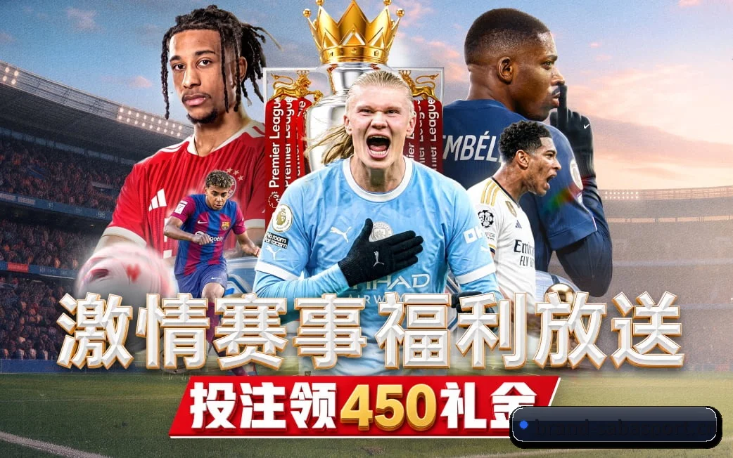 五维频道网格化布局 · 环球体坛电讯按项归仓